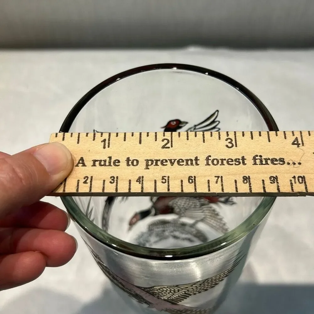 Vtg Hazel Atlas MCM Cocktail Shaker Pheasants Birds Glass 1950s Barware Metal Li